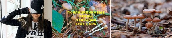 метамфетамин Новодвинск