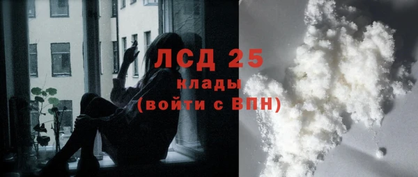 ГАЛЛЮЦИНОГЕННЫЕ ГРИБЫ Новозыбков