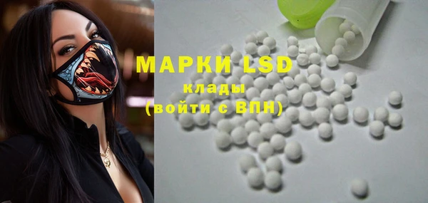 ГАЛЛЮЦИНОГЕННЫЕ ГРИБЫ Новозыбков