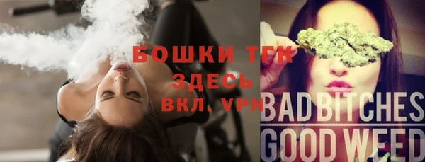 ГАЛЛЮЦИНОГЕННЫЕ ГРИБЫ Новозыбков