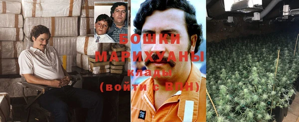 ГАЛЛЮЦИНОГЕННЫЕ ГРИБЫ Новозыбков