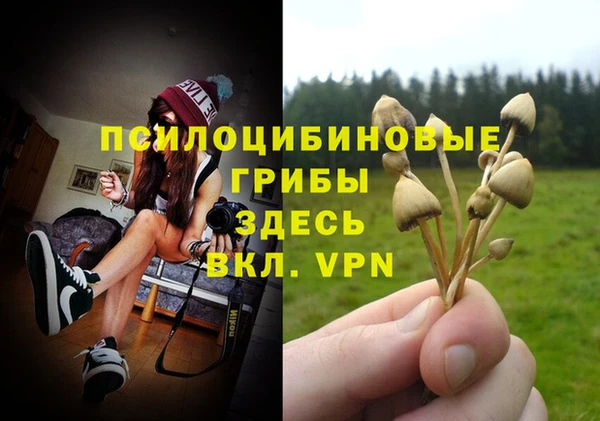 ГАЛЛЮЦИНОГЕННЫЕ ГРИБЫ Новокубанск