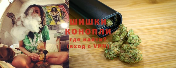 ГАЛЛЮЦИНОГЕННЫЕ ГРИБЫ Новозыбков